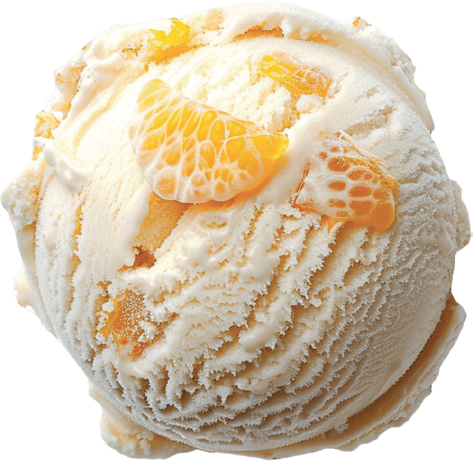 Wild Naarang Sorbet scoop